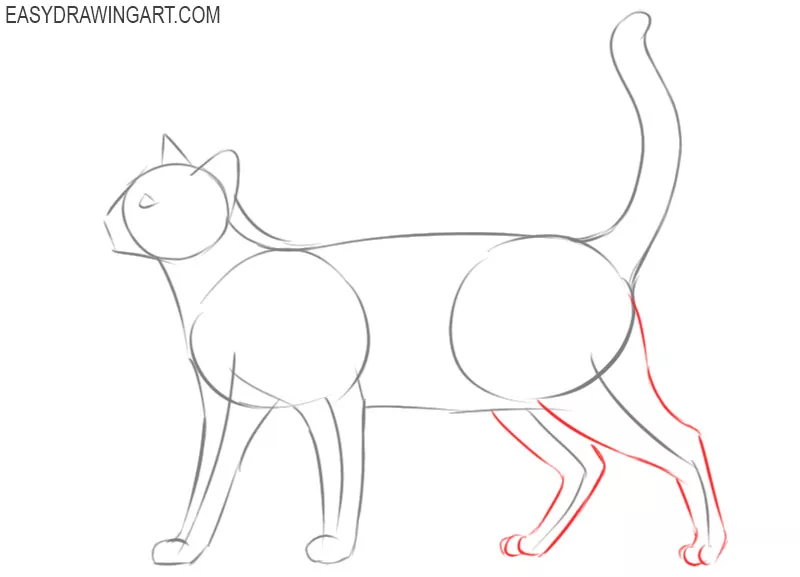 how to draw a cat cartoon step by step