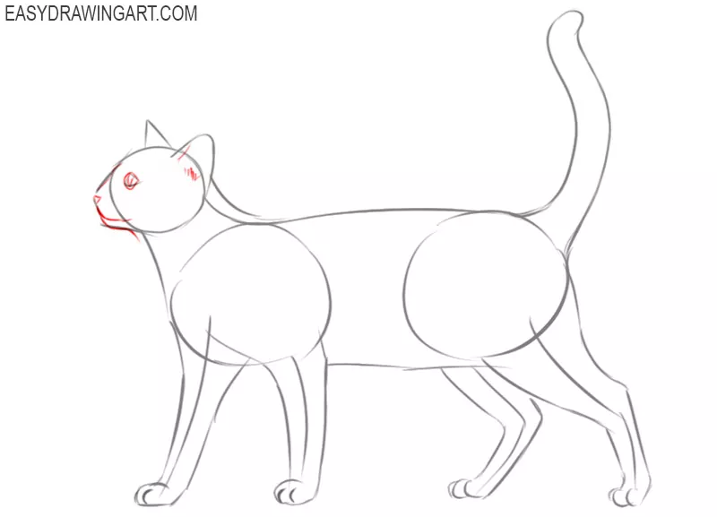 how to draw a cat draw so cute