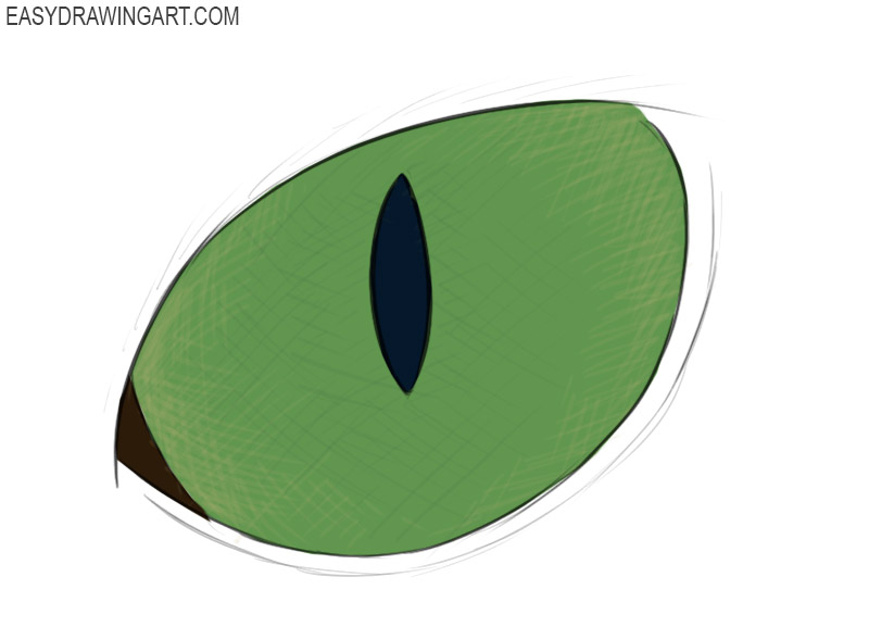 How to draw a Cat eye