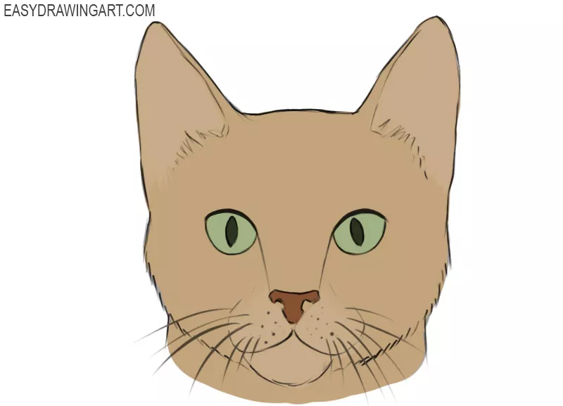how to draw a cat face