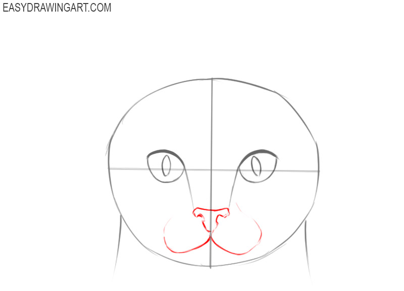 how to draw a cat face easy