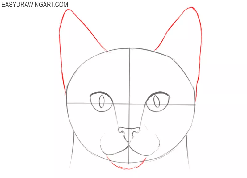 how to draw a cat face step by step