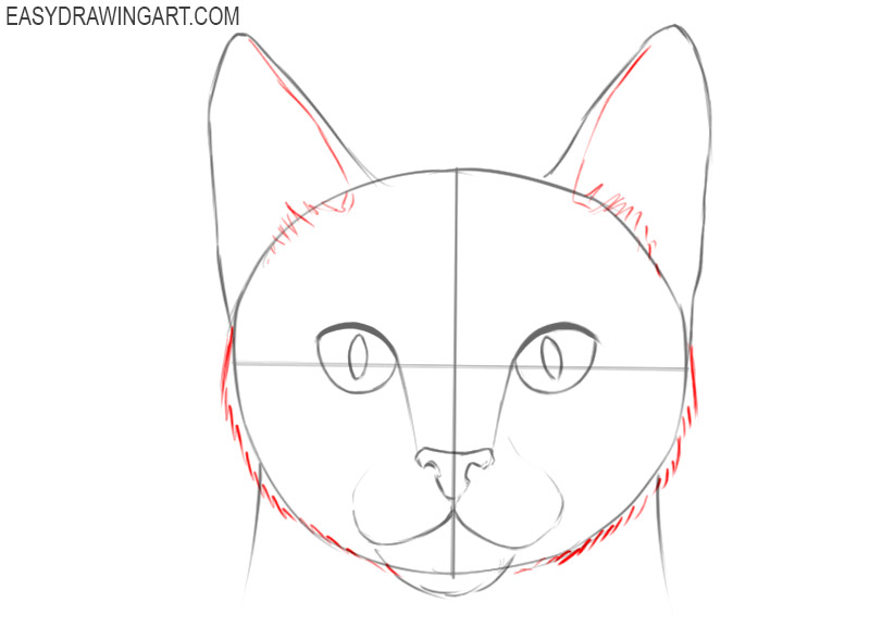how to draw a basic cat face
