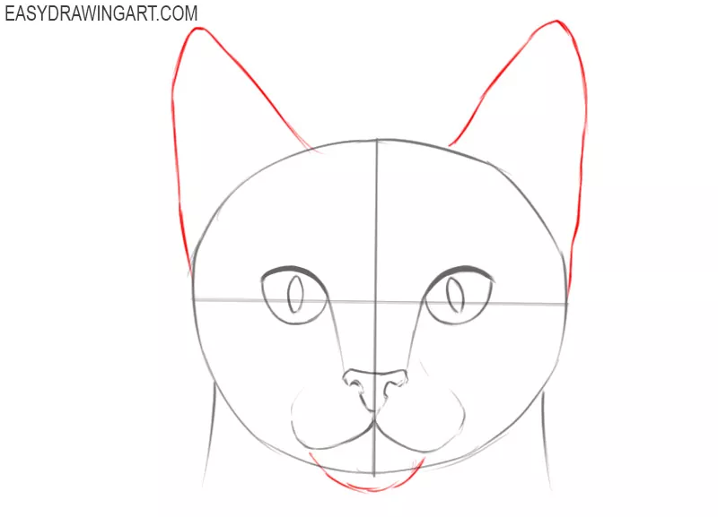 drawings of cat faces