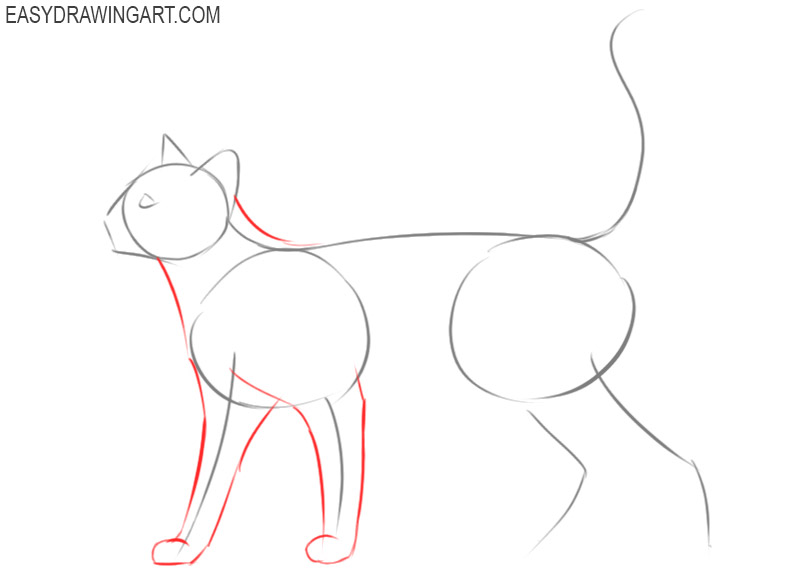 how to draw a cat for kids