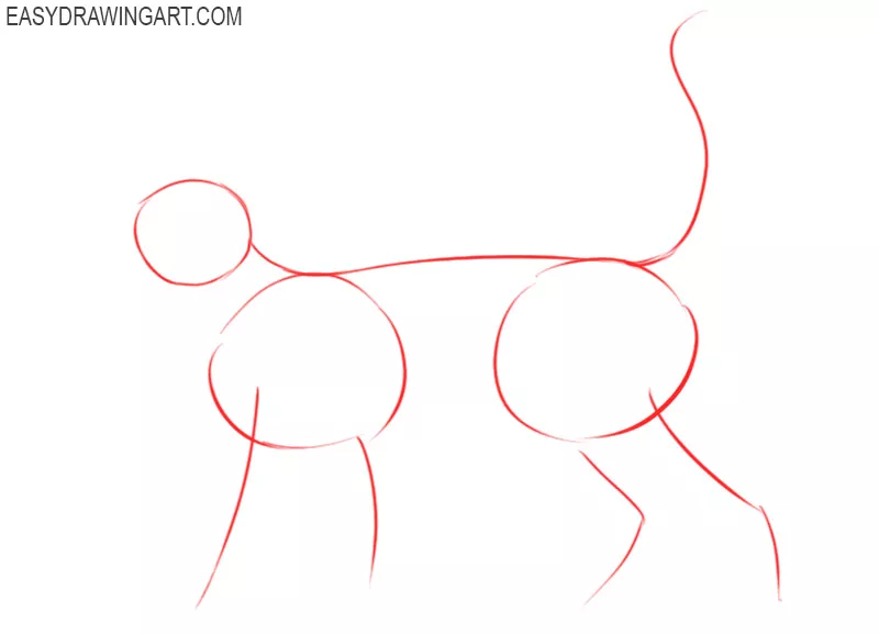 how to draw a cat easy