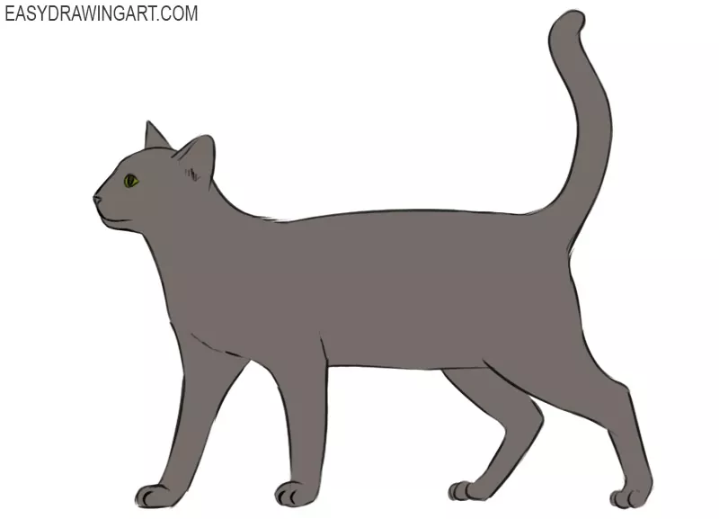 how to draw a cat