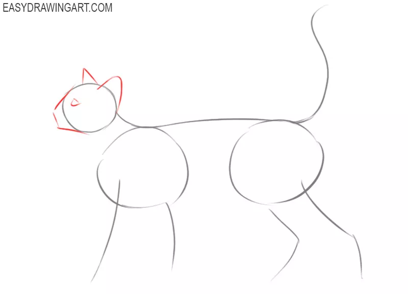 how to draw a cat step by step