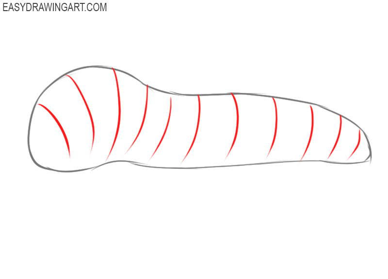 how to draw a caterpillar easy step by step