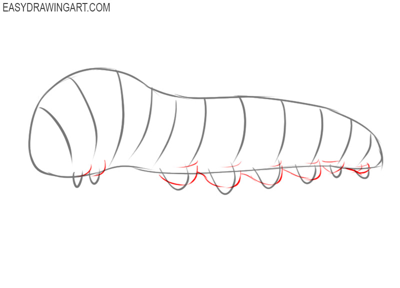 how to draw a caterpillar step by step