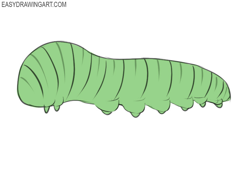 how to draw a caterpillar