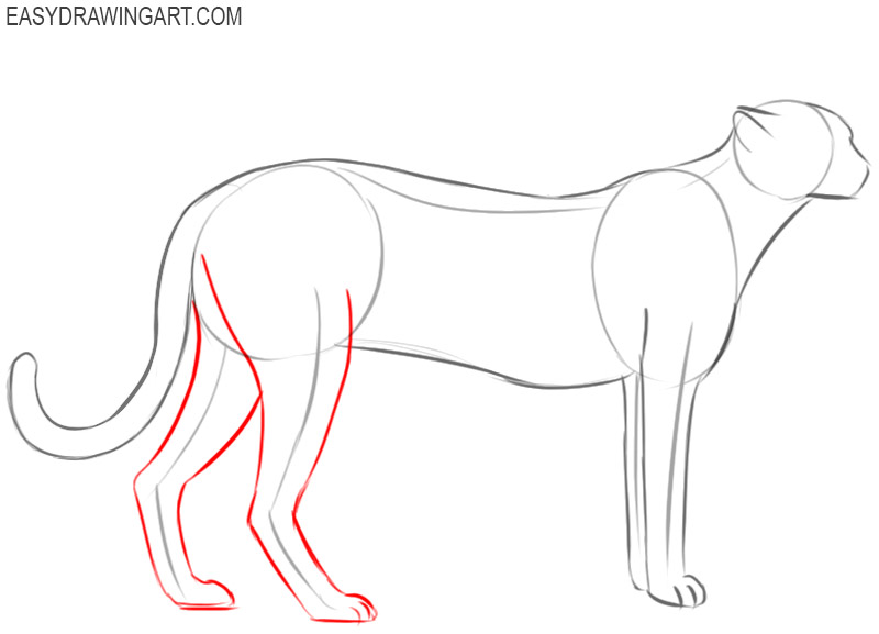 how to draw a cheetah cartoon