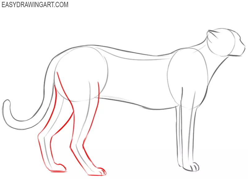 how to draw a cheetah cartoon