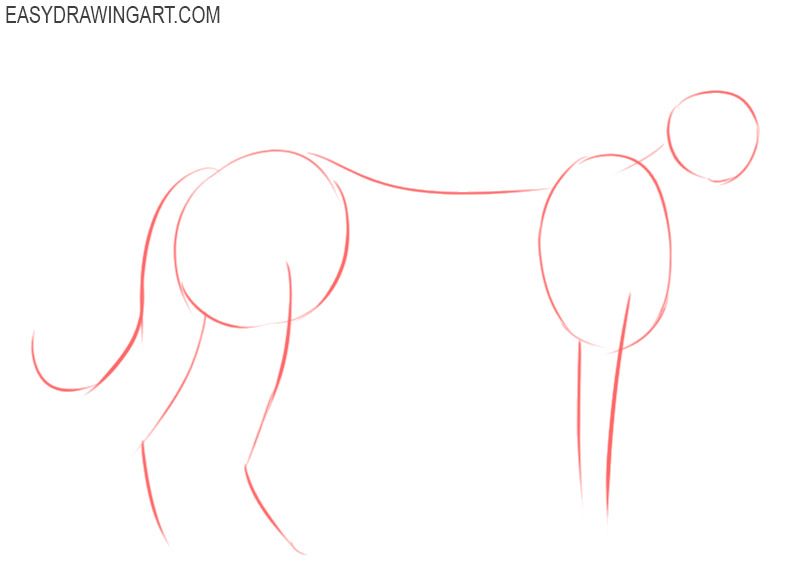 how to draw a cheetah easy