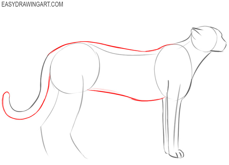 how to draw a cheetah step by step easy