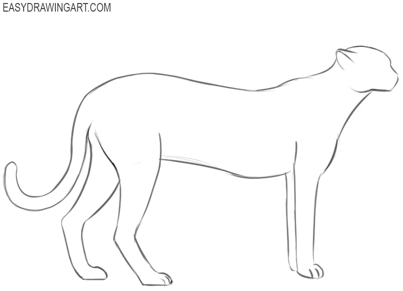 how to draw a cheetah cute and easy