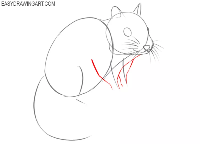 how to draw a chipmunk easy step by step