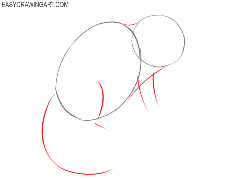 how to draw a chipmunk step by step easy