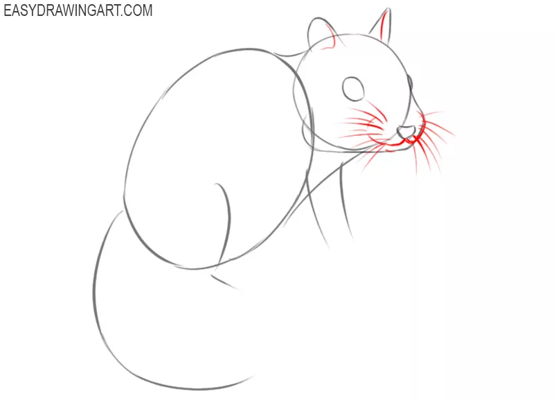how to draw a chipmunk step by step