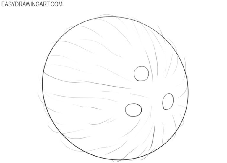 How to Draw a Coconut Easy Drawing Art