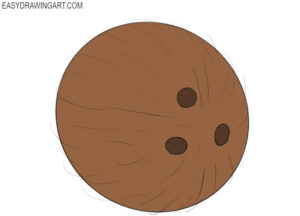 How to draw a coconut
