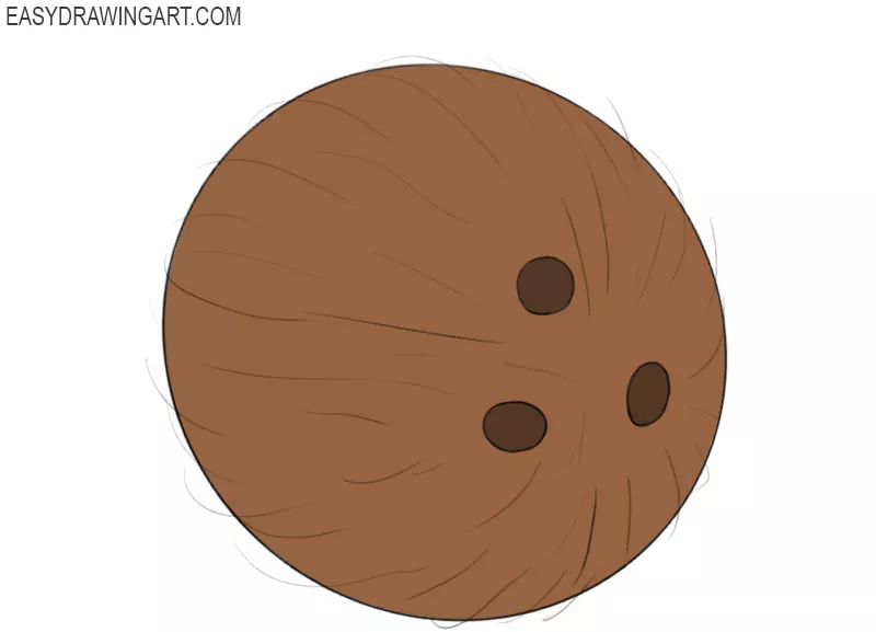how to draw a coconut
