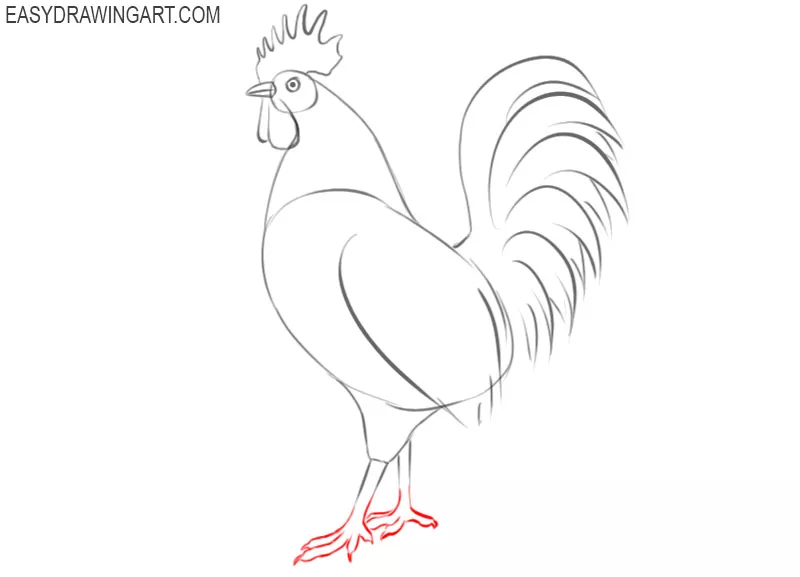 how to draw a colorful rooster