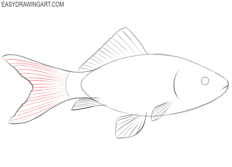how to draw a cool fish