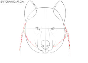 How to Draw a Wolf Face - Easy Drawing Art