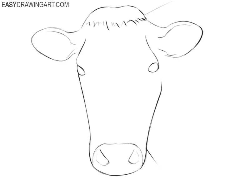 how to draw a cow face step by step