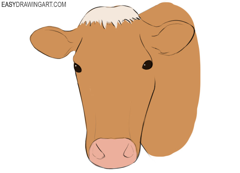 how to draw a cow face