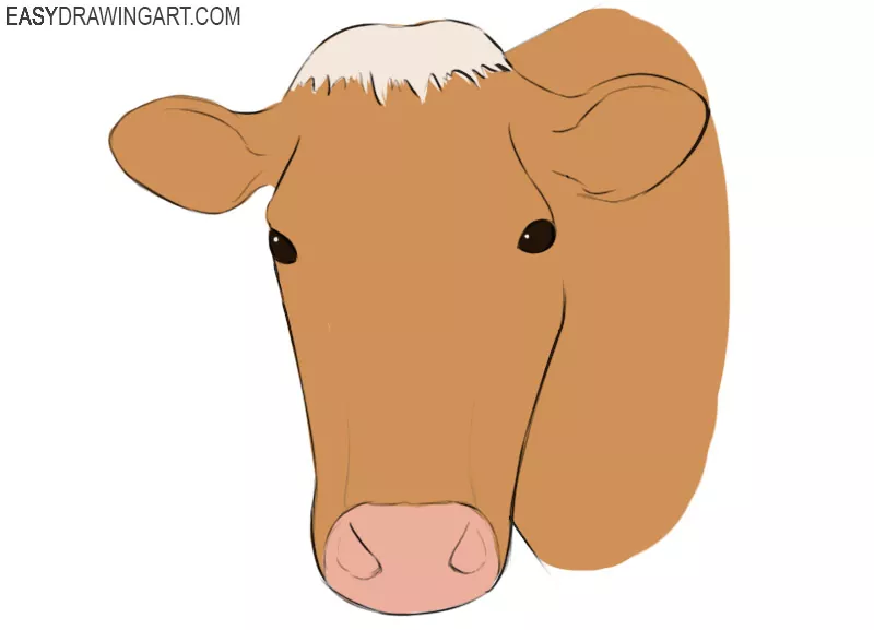 How to Draw a Cow Face Easy Drawing Art