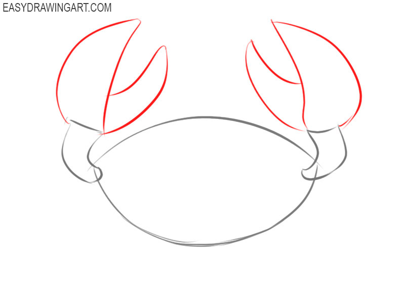 How to draw an animal