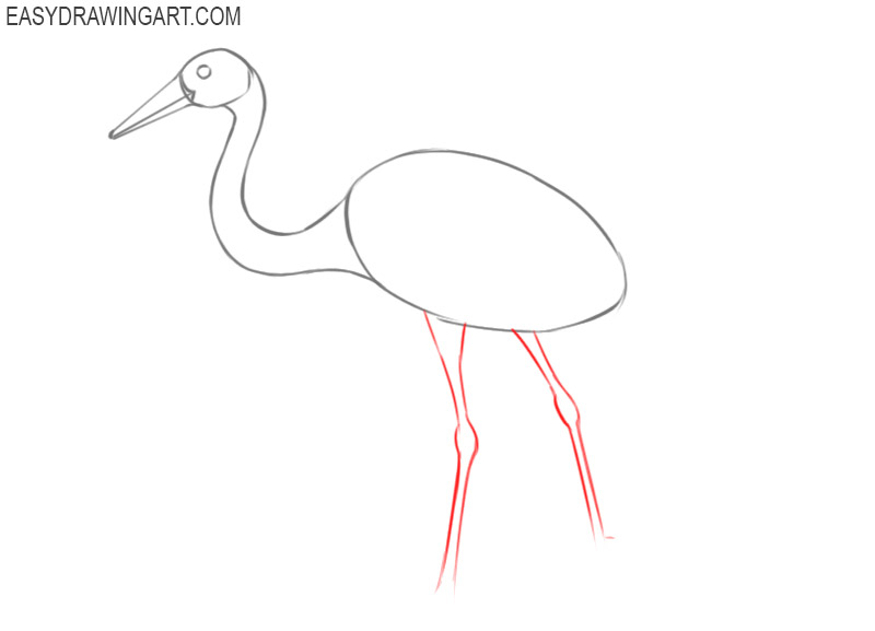 crane bird drawing