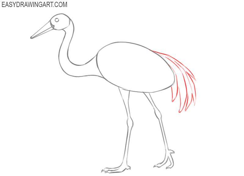 crane bird drawing picture