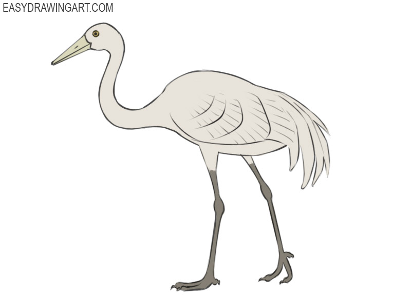 how to draw a crane bird