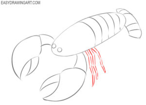 How to Draw a Crayfish - Easy Drawing Art