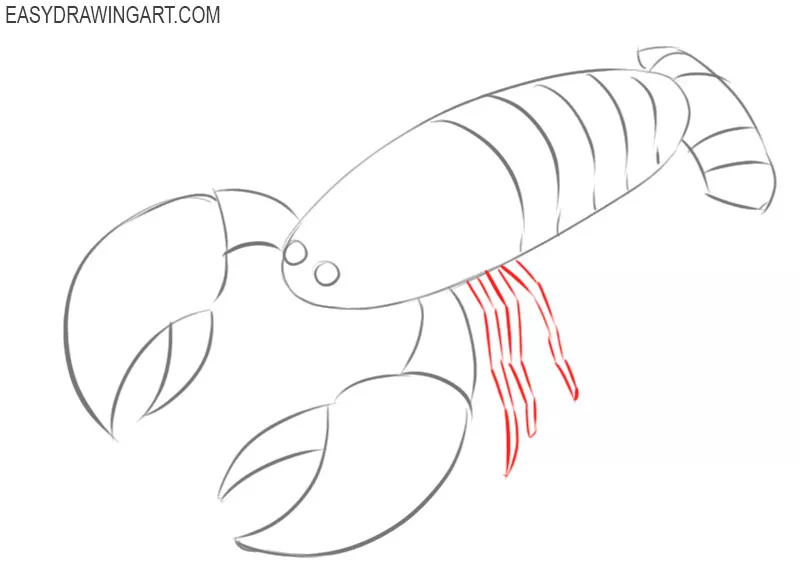 How to draw a crayfish easy