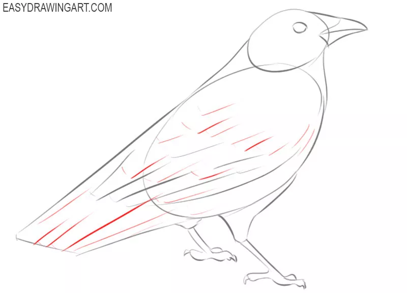 How to Draw a Crow  Easy Drawing Art