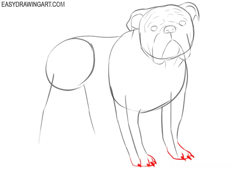 how to draw a cute cartoon bulldog