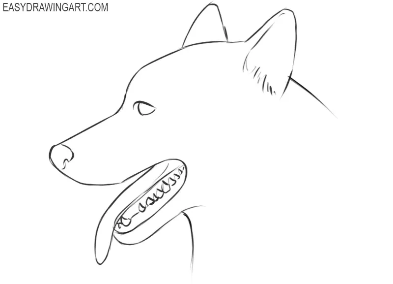 how to draw a cute cartoon dog face
