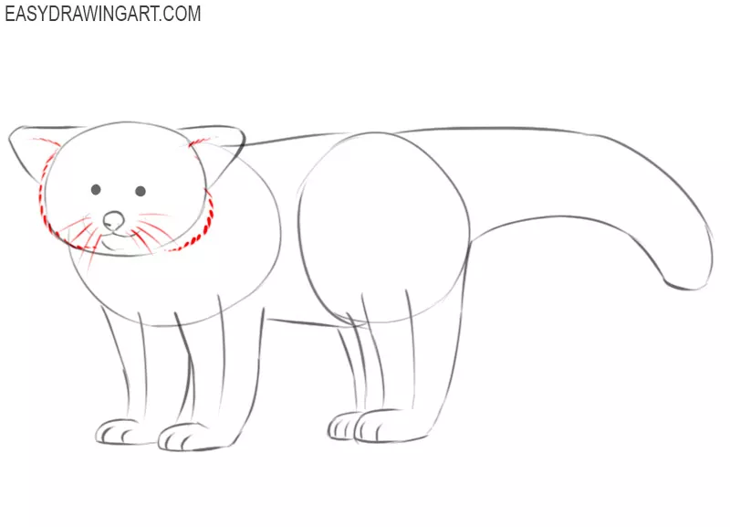 how to draw a cute cartoon red panda