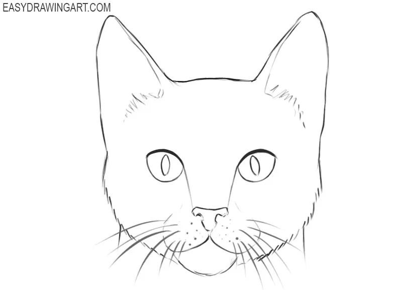 how to draw a cute cat face easy