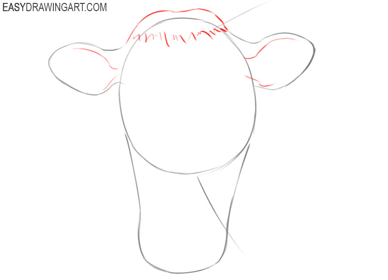 how to draw a cute cow face
