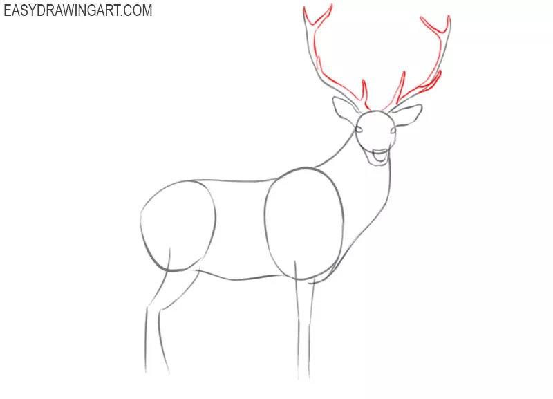Stock Art Drawing of a White-Tailed Deer