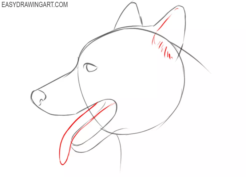 how to draw a cute dog face step by step