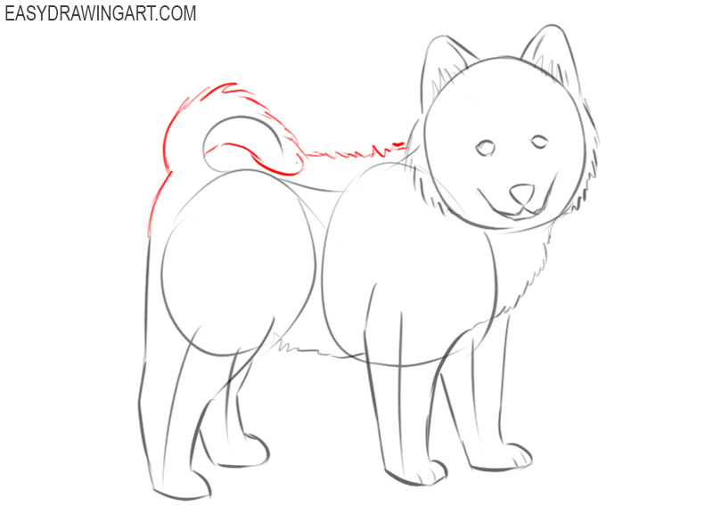 how to draw a puppy easy step by step