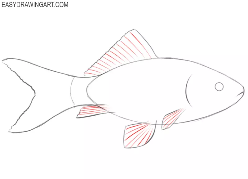 how to draw a cute fish step by step