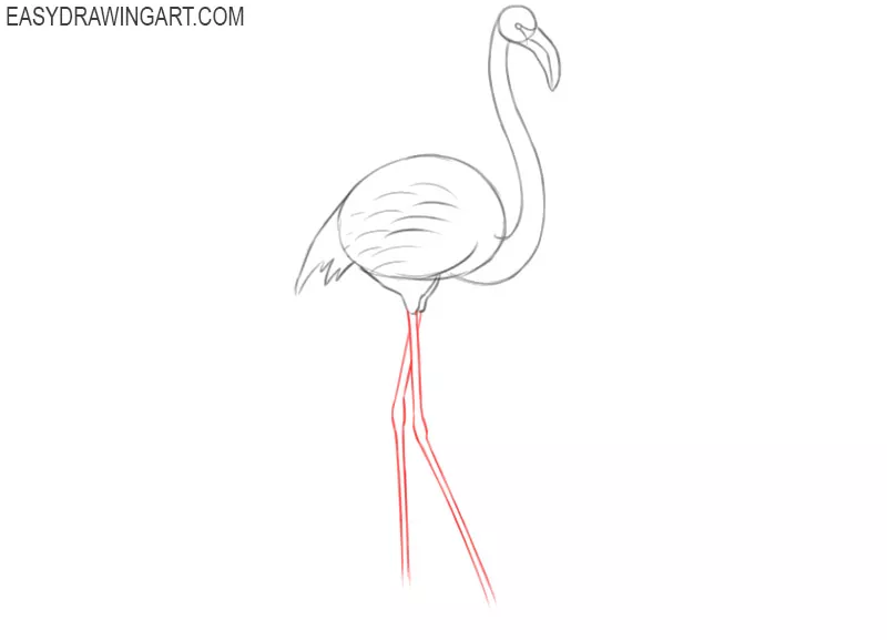 how to draw a cute flamingo