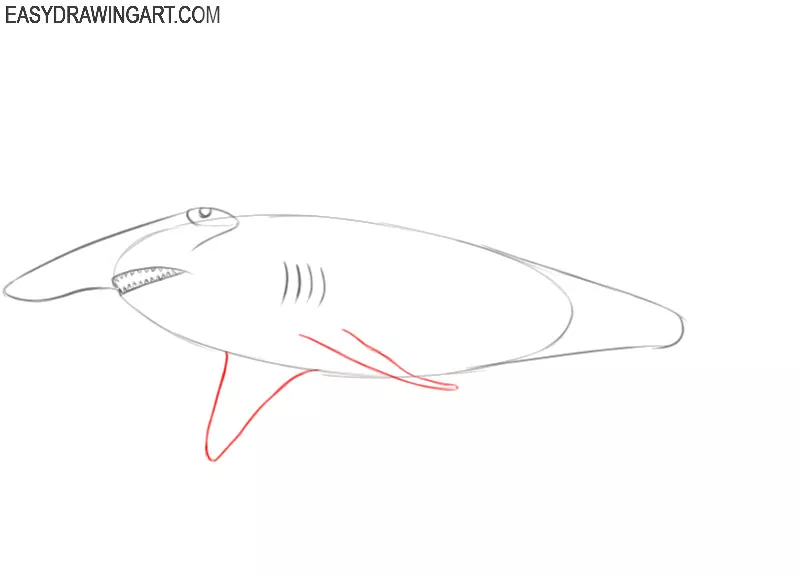 how to draw a cute hammerhead shark